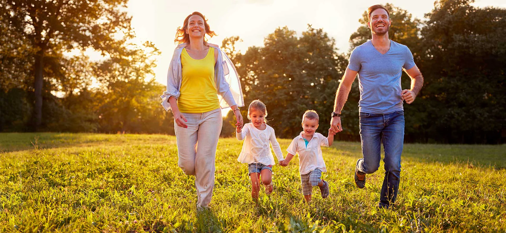 Elevate Your Daily Wellness Journey